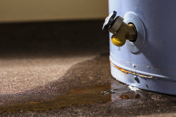 Best 24/7 water damage repair  in Sunbury, OH