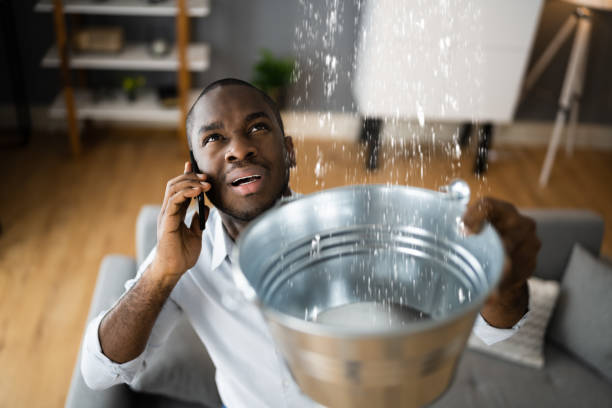 Best Carpet water damage restoration  in Sunbury, OH