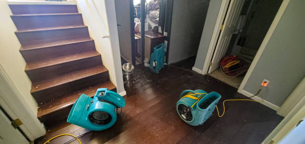 Best Local water damage restoration  in Sunbury, OH