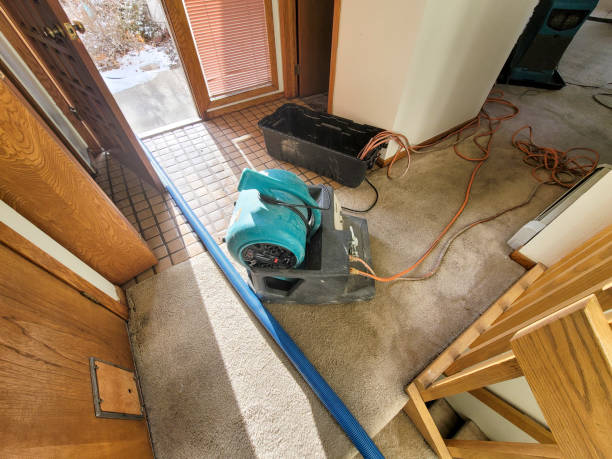 Best Sewage cleanup and water damage restoration  in Sunbury, OH